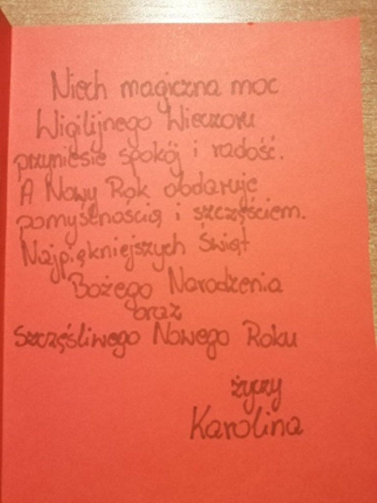 Nowy obraz (14)